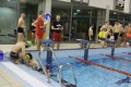 Otyliada – Nocny Maraton Pływacki