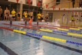 Otyliada – Nocny Maraton Pływacki